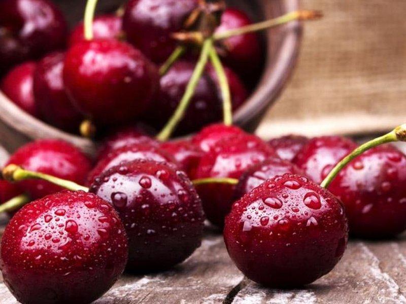 Вишня купить саженцы из питомника в Тобольске